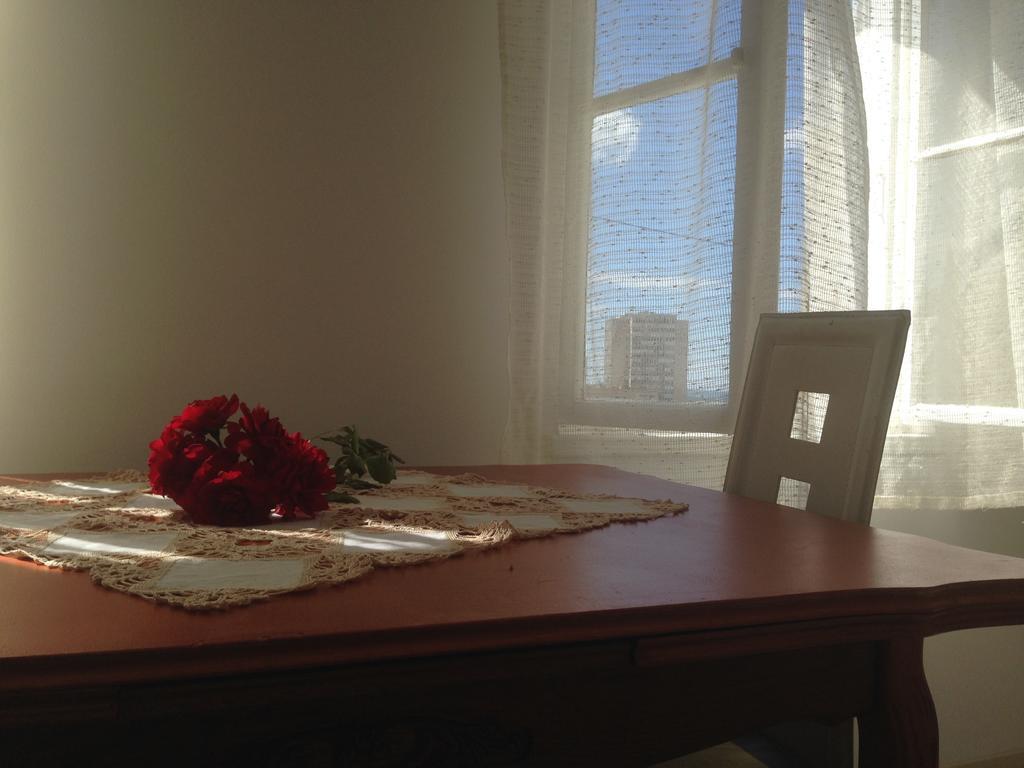 Silvana Apartment Sibenik